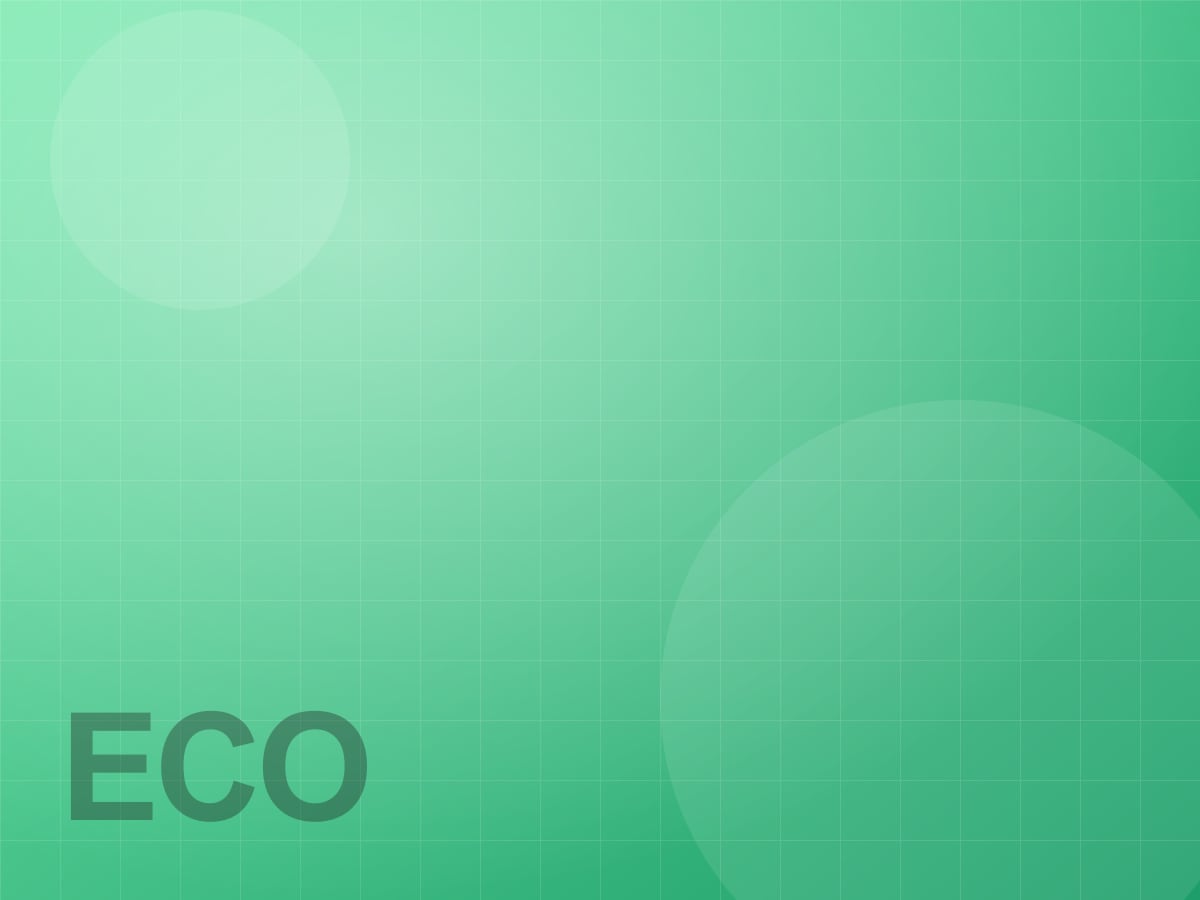 EcoEcho